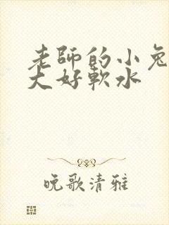 老师的小兔子好大好软水封面