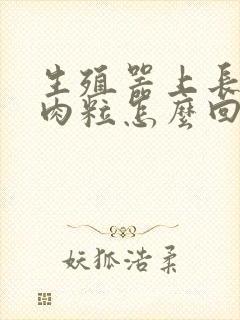 生殖器上长了个肉粒怎么回事