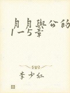 月月与公的激情1一5章