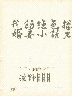 我的绝色总裁未婚妻小说免费下载封面