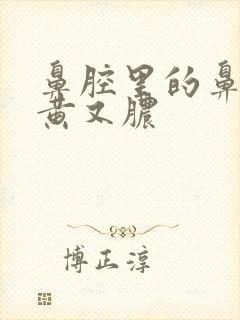 鼻腔里的鼻涕又黄又脓