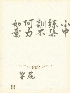 如何训练小孩注意力不集中