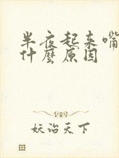 半夜起来嘴苦是什么原因