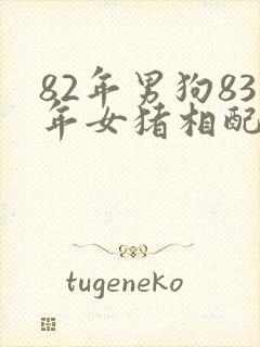 82年男狗83年女猪相配吗婚姻封面