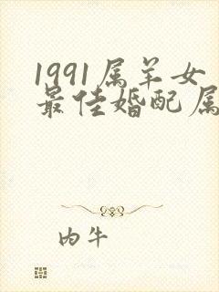 1991属羊女最佳婚配属相
