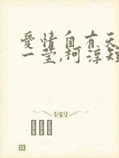 爱情自有天意翟一莹,柯淳短剧免费观看封面