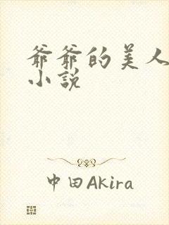 爷爷的美人林彦小说封面