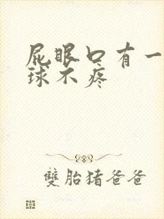 屁眼口有一个肉球不疼封面