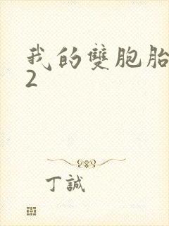 我的双胞胎姐妹2