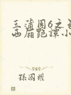 玉蒲团6之色情西厢艳谭小说封面
