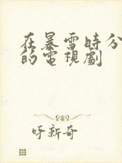 在暴雪时分类似的电视剧