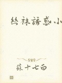 丝袜诱惑小说封面