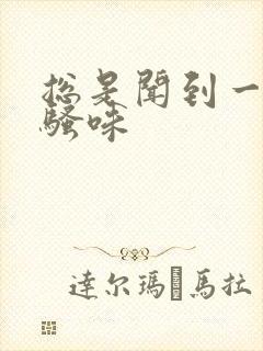 总是闻到一股尿骚味封面