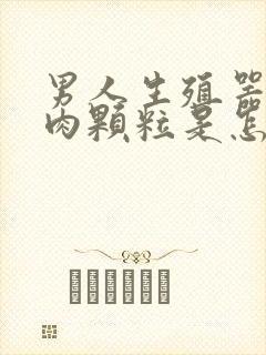 男人生殖器长了肉颗粒是怎么回事