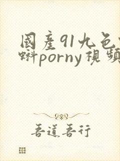 国产91九色蝌蚪porny视频网封面
