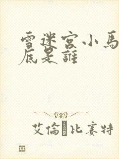 雪迷宫小马哥到底是谁