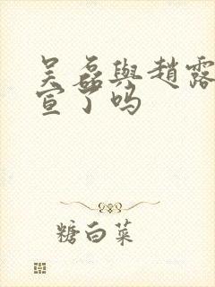 吴磊与赵露思官宣了吗封面