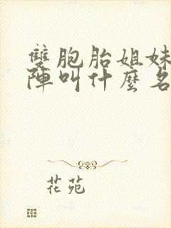 双胞胎姐妹齐上阵叫什么名