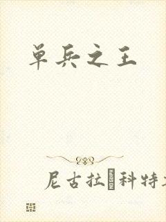单兵之王
