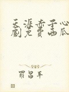 天涯赤子心电视剧免费西瓜