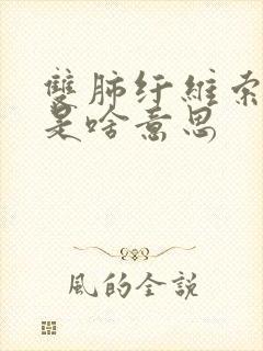 双肺纤维索条影是啥意思封面