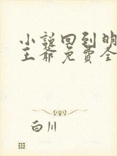 小说回到明朝当王爷免费全文阅读