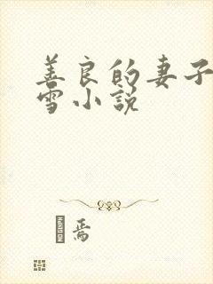 善良的妻子慕容雪小说封面