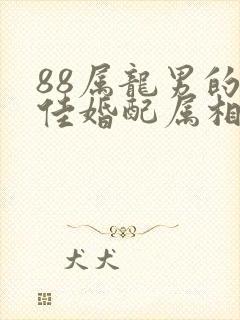 88属龙男的最佳婚配属相