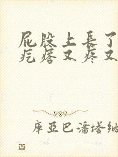 屁股上长了几个疙瘩又疼又痒封面