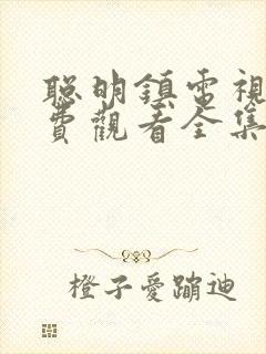 聪明镇电视剧免费观看全集在线播放