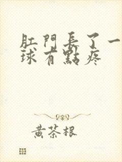 肛门长了一个肉球有点疼