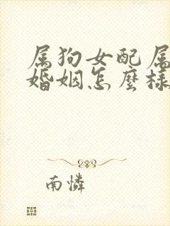 属狗女配属羊男婚姻怎么样封面
