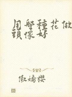 用哪种花做微信头像好封面