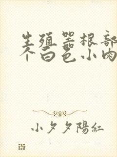 生殖器根部长了个白色小肉粒