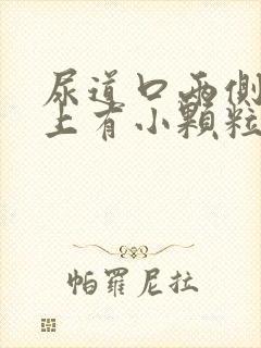 尿道口两侧阴道上有小颗粒封面