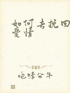 如何去挽回一段爱情封面