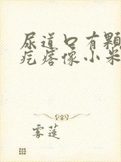 尿道口有颗粒状疙瘩像小米粒很痒封面