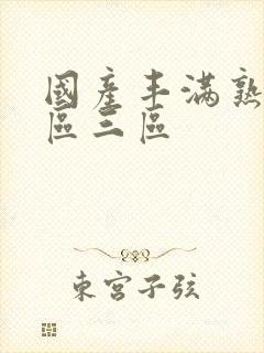 国产丰满熟女二区三区