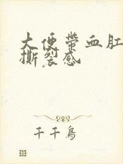 大便带血肛门有撕裂感封面