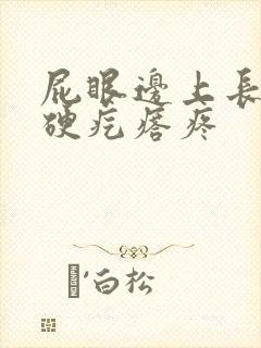 屁眼边上长一个硬疙瘩疼