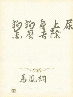 狗狗身上尿骚味怎么去除