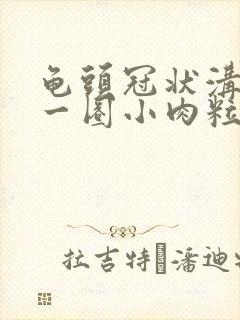 龟头冠状沟起了一圈小肉粒