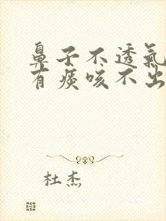 鼻子不透气嗓子有痰咳不出咽不下怎么办