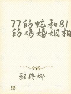 77的蛇和81的鸡婚姻相配吗