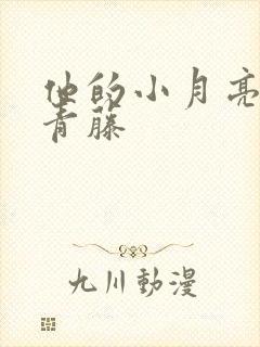 他的小月亮by青藤