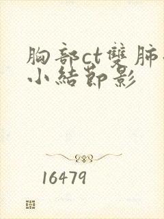 胸部ct双肺微小结节影