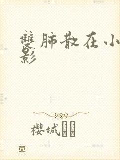 双肺散在小结节影