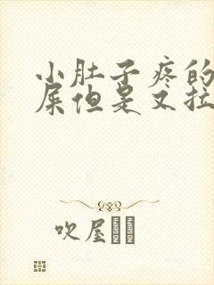 小肚子疼的想拉屎但是又拉不出来