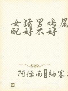 女猪男鸡属相婚配好不好