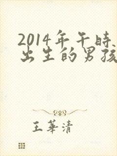 2014年午时出生的男孩命运封面
